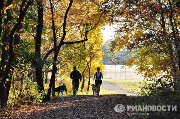 В Нью-Йорк после снегопада пришло бабье лето В Нью-Йорк после снегопада пришло бабье лето