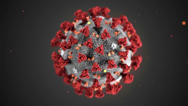 Ученые заявили о раскрытии природы нового коронавируса - РИА ...