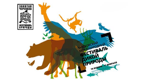 Скриншот сайта Московского международного фестиваля дикой природы Золотая Черепаха Скриншот сайта Московского международного фестиваля дикой природы Золотая Черепаха