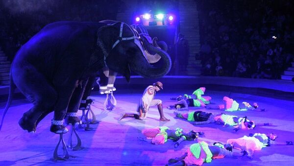 Шоу слонов Андрея Дементьева-Корнилова Elephants' show Шоу слонов Андрея Дементьева-Корнилова Elephants' show