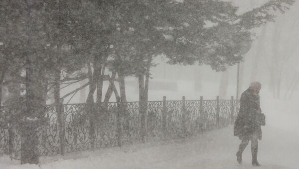 Снежный циклон на Сахалине. Архивное фото Снежный циклон на Сахалине. Архивное фото