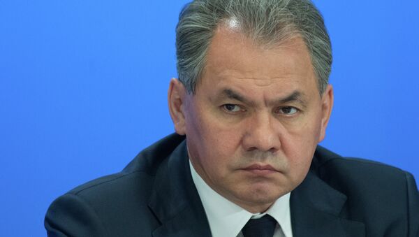 Министр обороны РФ Сергей Шойгу Министр обороны РФ Сергей Шойгу