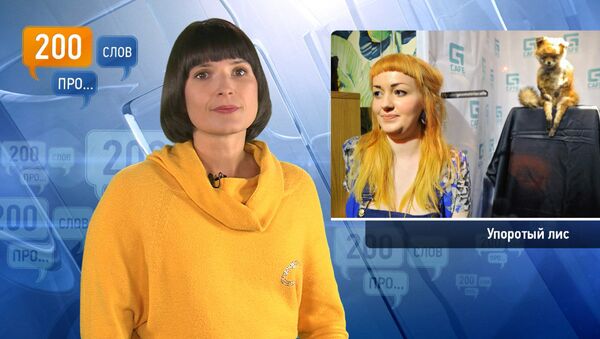 200 слов про Упоротого лиса 200 слов про Упоротого лиса