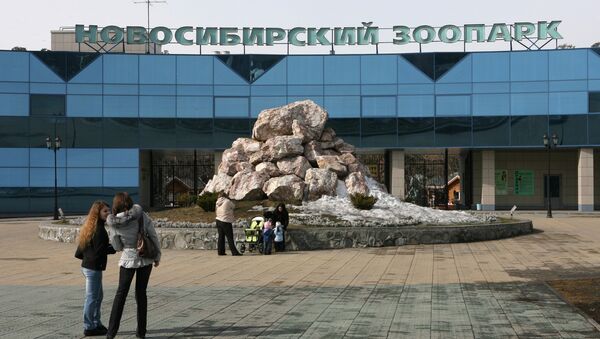 Новосибирский зоопарк Новосибирский зоопарк