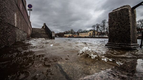 Петербургу угрожает наводнение из-за подъема воды в Неве и каналах