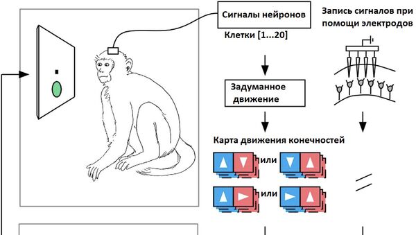 Эксперимент авторов статьи в общем виде. Иллюстрация из статьи. Эксперимент авторов статьи в общем виде. Иллюстрация из статьи.