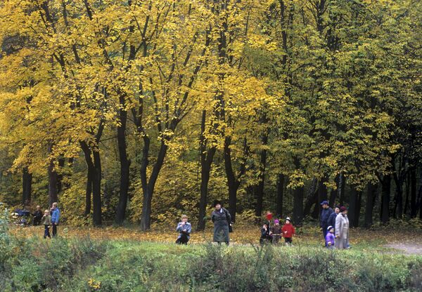 В парке Кусково В парке Кусково