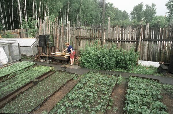Огородный участок Огородный участок