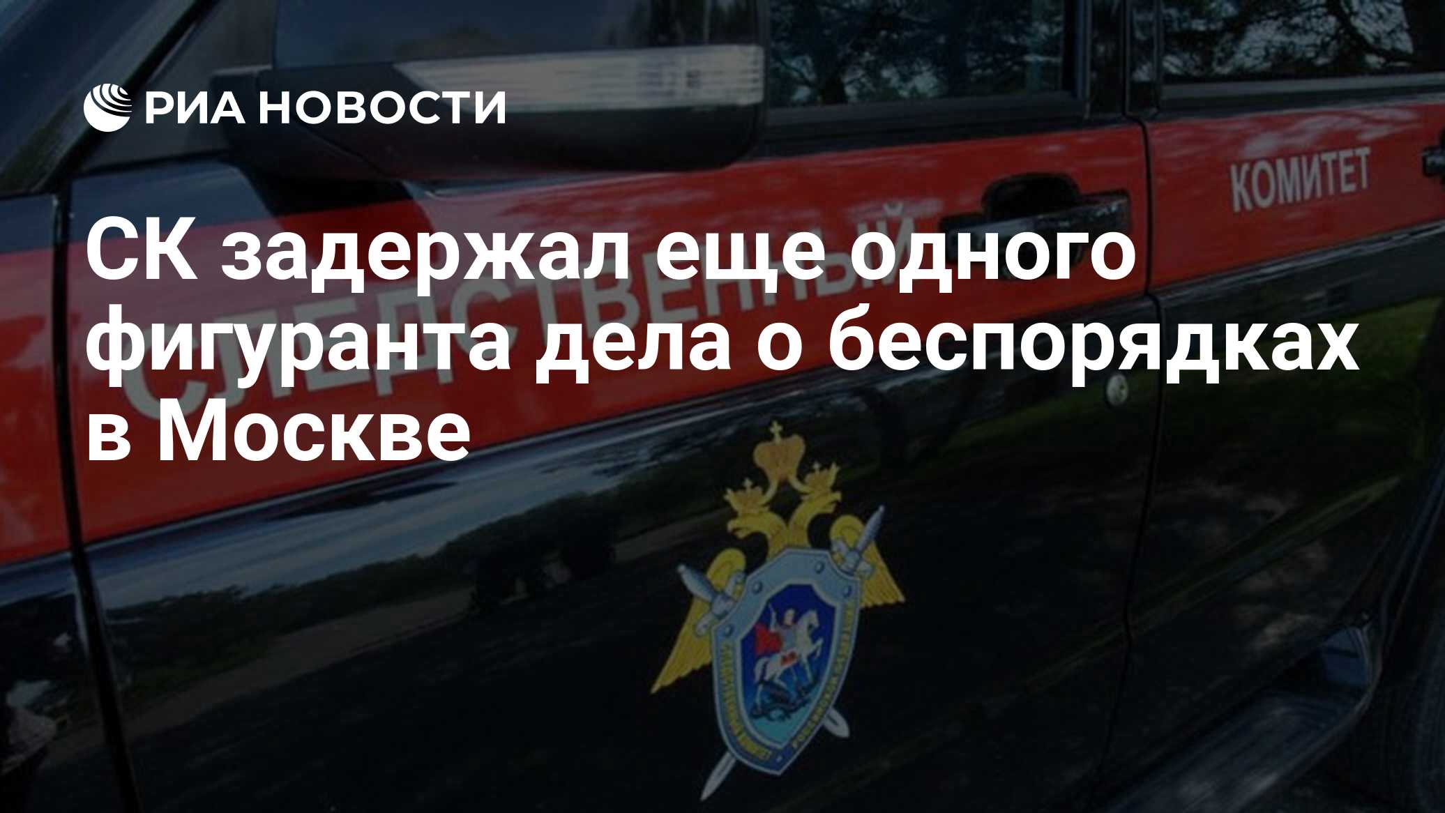 СК задержал еще одного фигуранта дела о беспорядках в Москве - РИА Новости