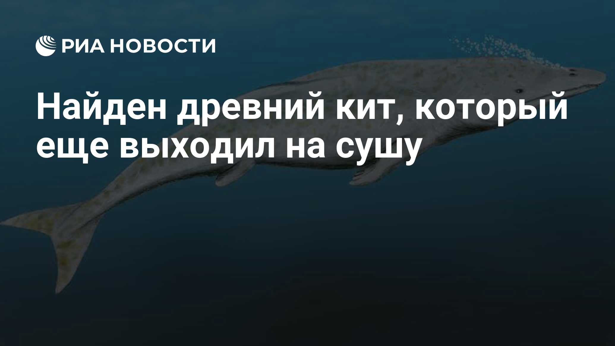 Создатель трех китов планетарной астрономии 6 букв