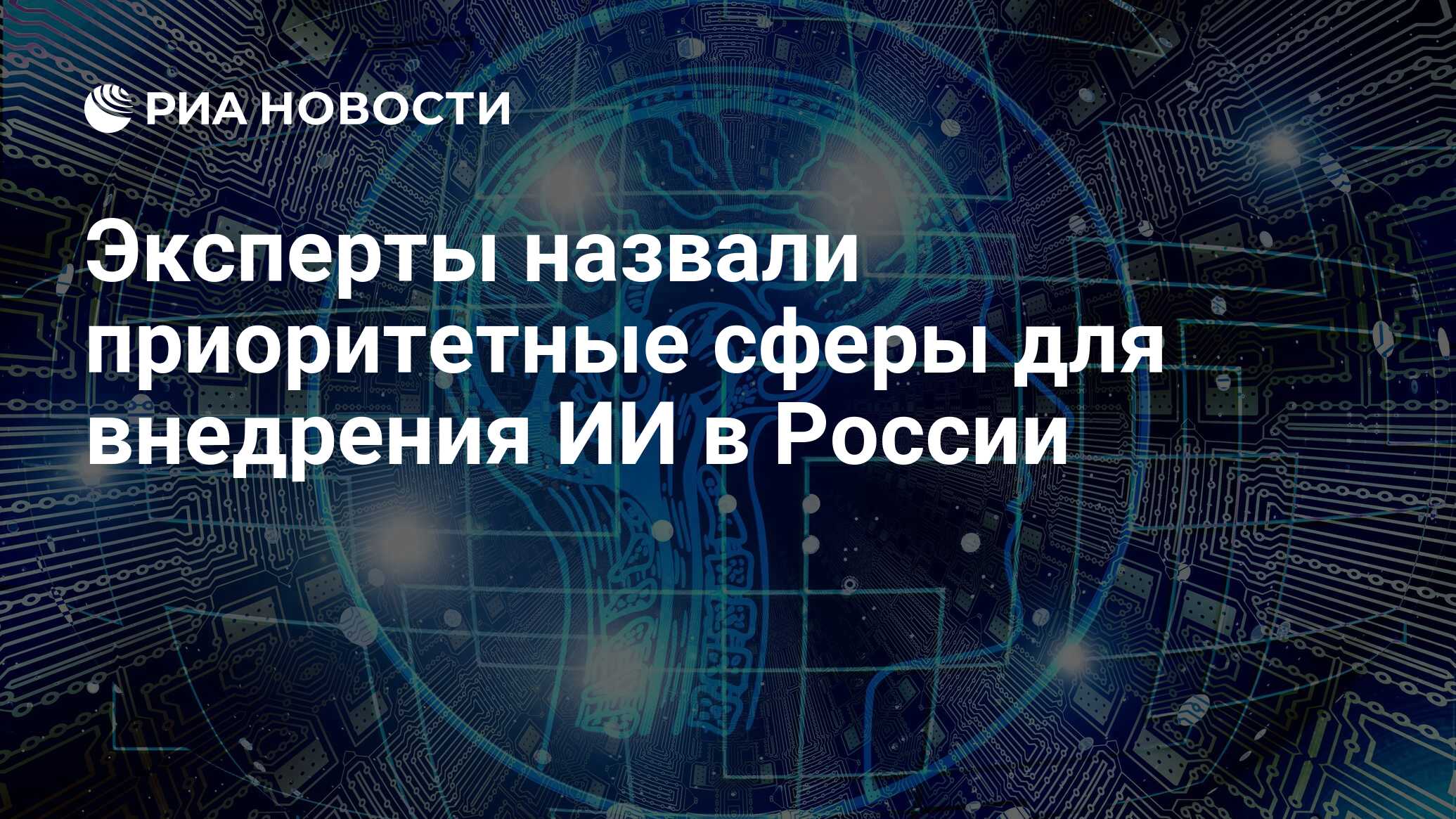 Приоритетные национальные проекты россии список