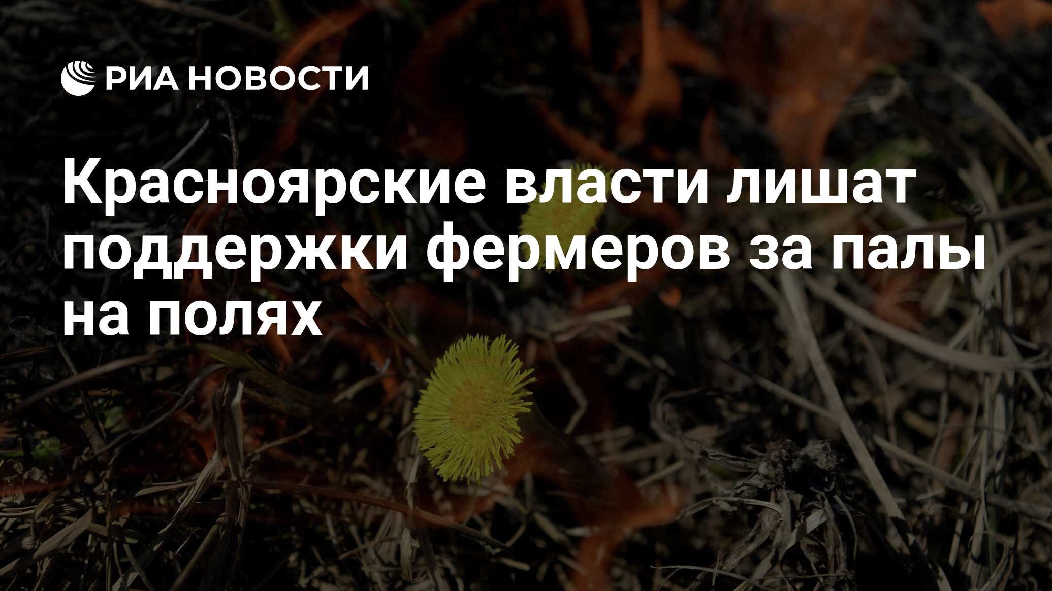 лишенный поддержки. лишенный поддержки. лишенный поддержки. лишение гражданства. америка угрожает россии.