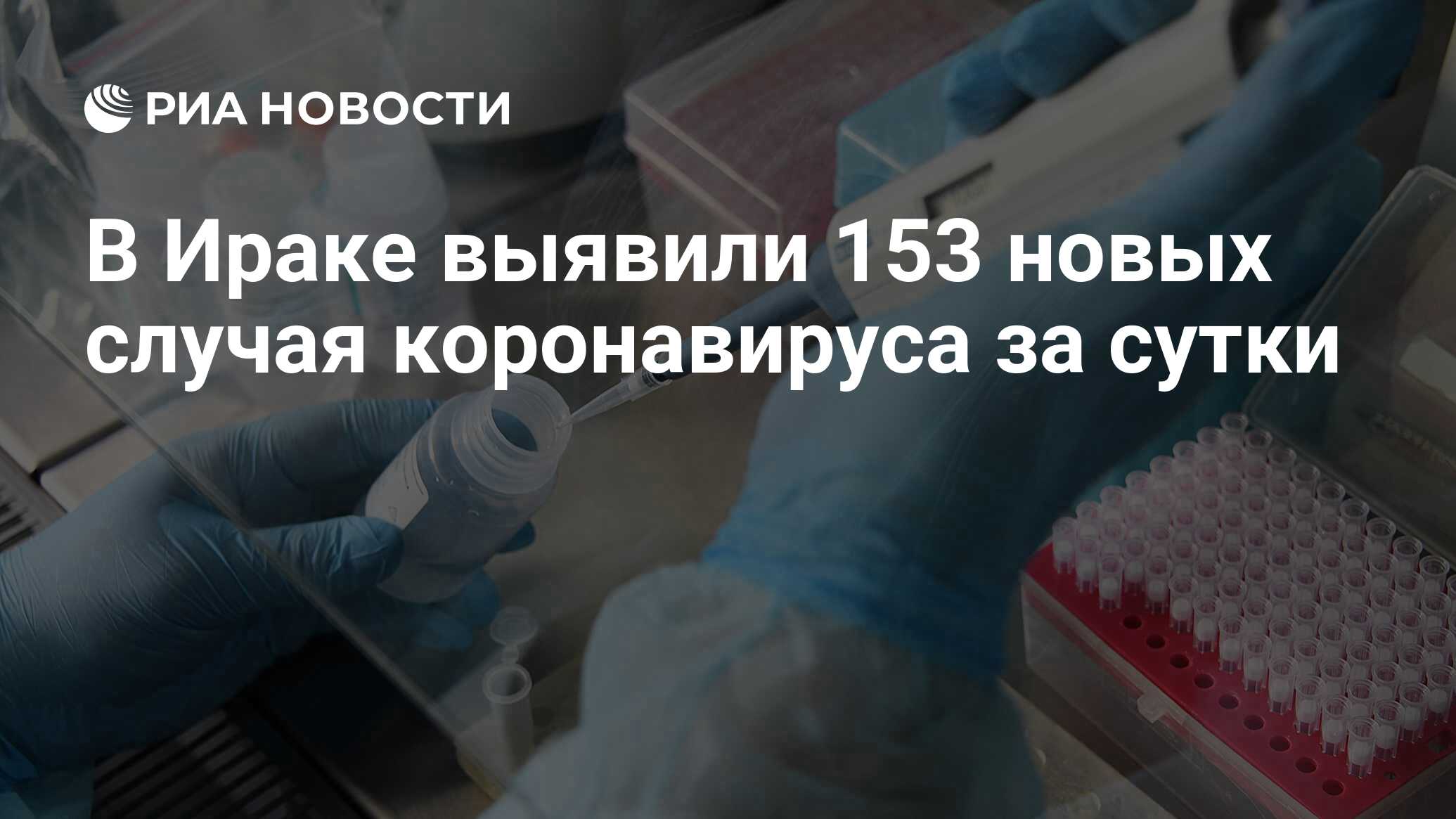 ria.ru