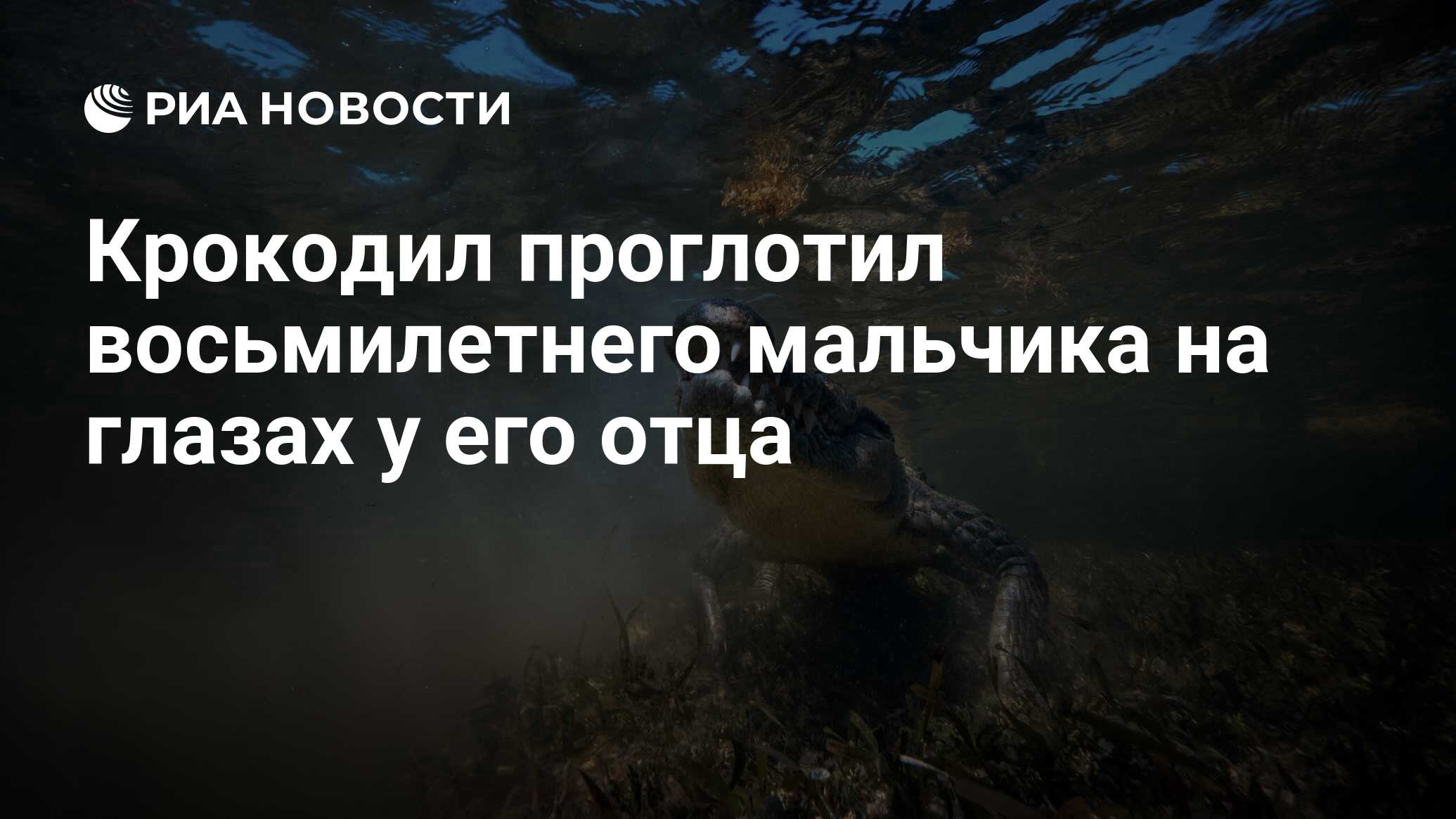 И несчастный крокодил оплакивает жертву хотя и не прерывает сытного обеда найти слово по схеме