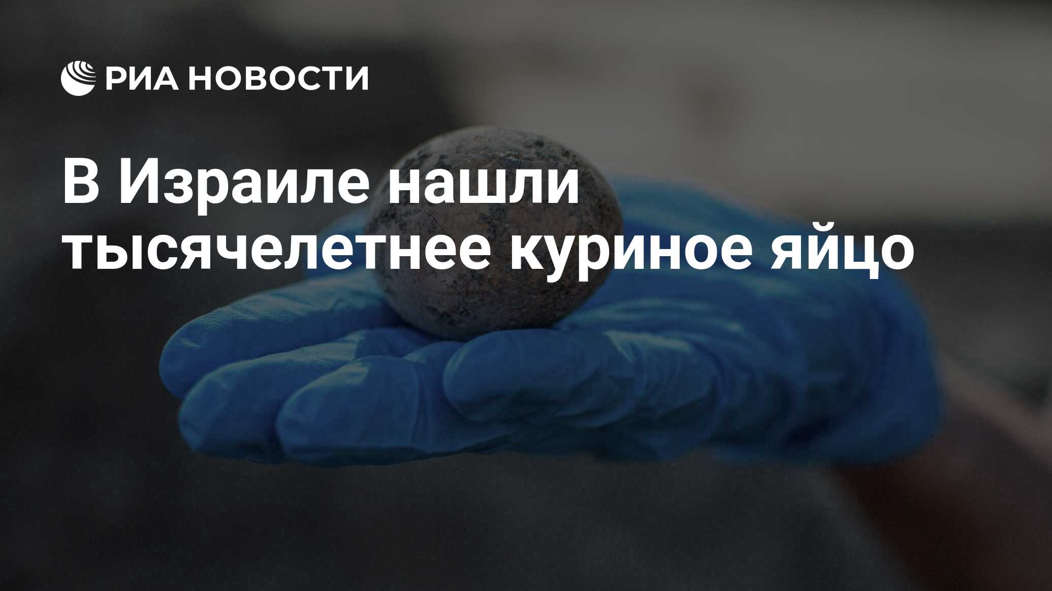 В Израиле нашли тысячелетнее куриное яйцо